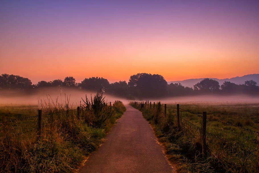 dawn, haze, ground fog, nebelschleier, field, fence, away, mood, rest, nature