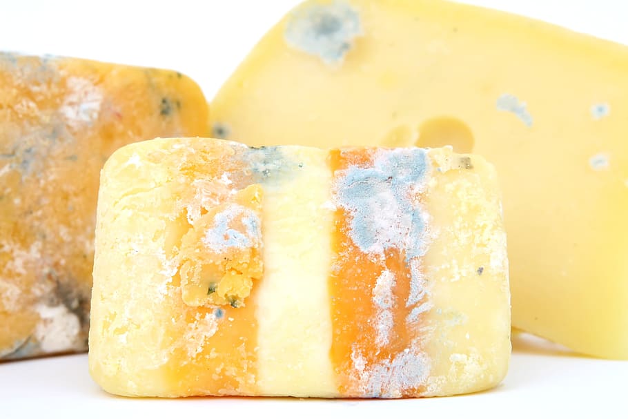 old, cheese, age, expired, food, fungus, food and drink, freshness, close-up, sweet food