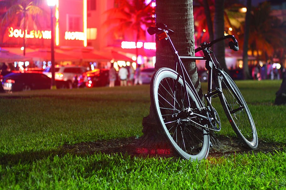 black, bike, night, lights, red, bicycle, tree, grass, park, transportation