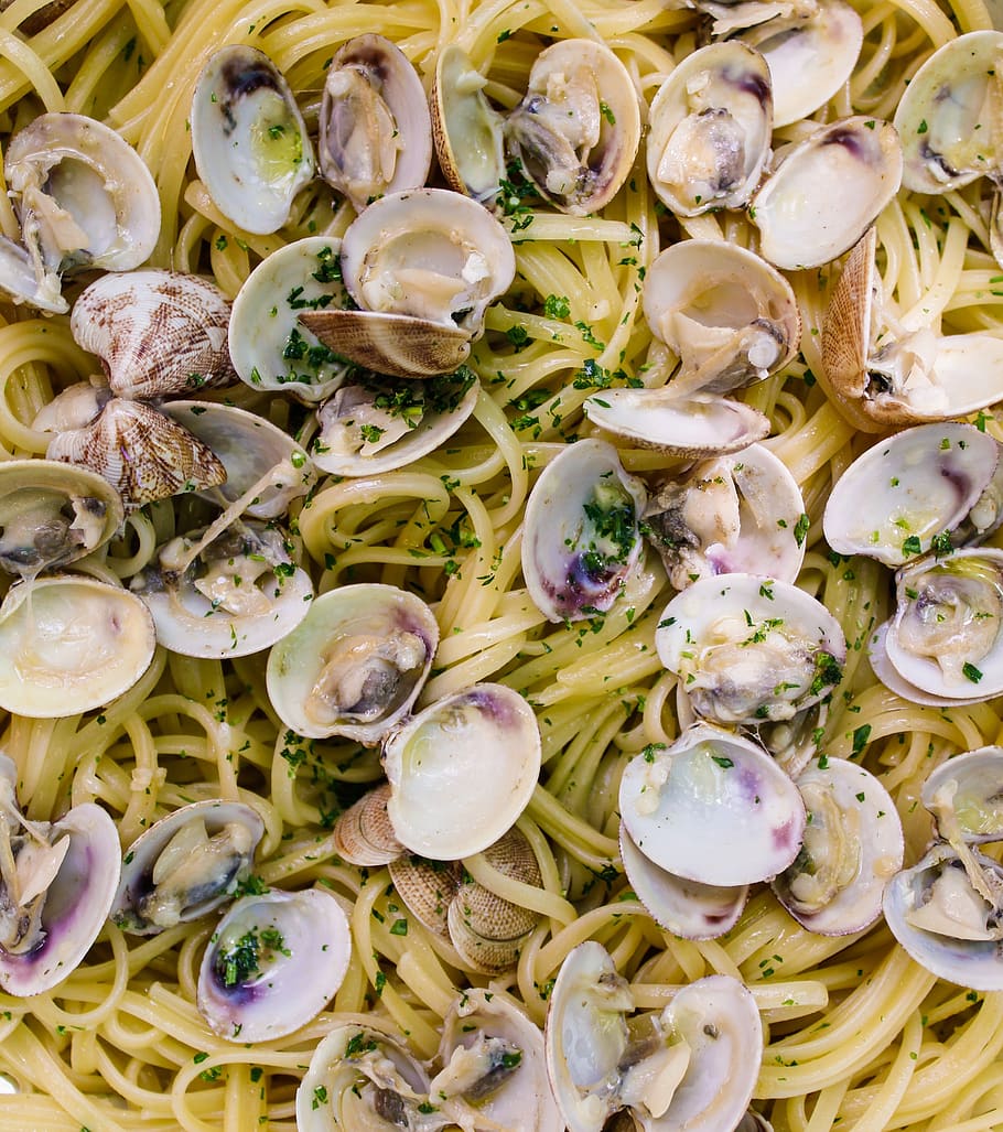pasta, spaghetti, clams, street food, food, dish, kitchen, lunch, gastronomy, italian