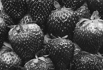 background-berry-black-and-white-closeup-royalty-free-thumbnail.jpg