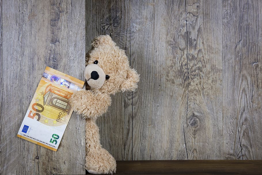 money, euro, 50 euro, 50, banknote, cash, bear, teddy bear, teddy, gift