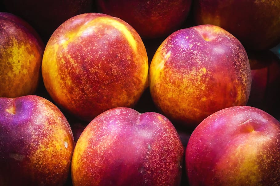 nectarines, food and Drink, fruit, food, healthy eating, wellbeing, freshness, close-up, apple - fruit, group of objects