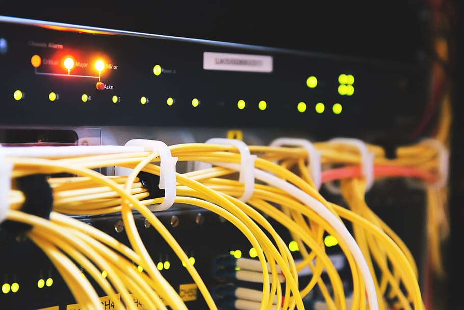Ethernet, tecnologia, servidor, cabo, plugue de conexão de rede, rede de computadores, Internet, cabo de computador, conexão, computador