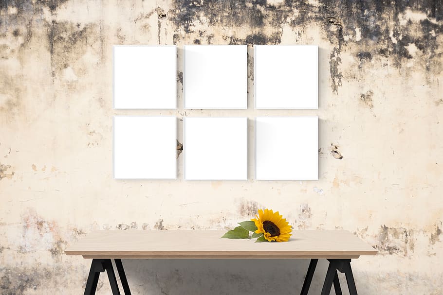 poster, frame, wall, desk, sunflower, flowering plant, flower, window, plant, nature