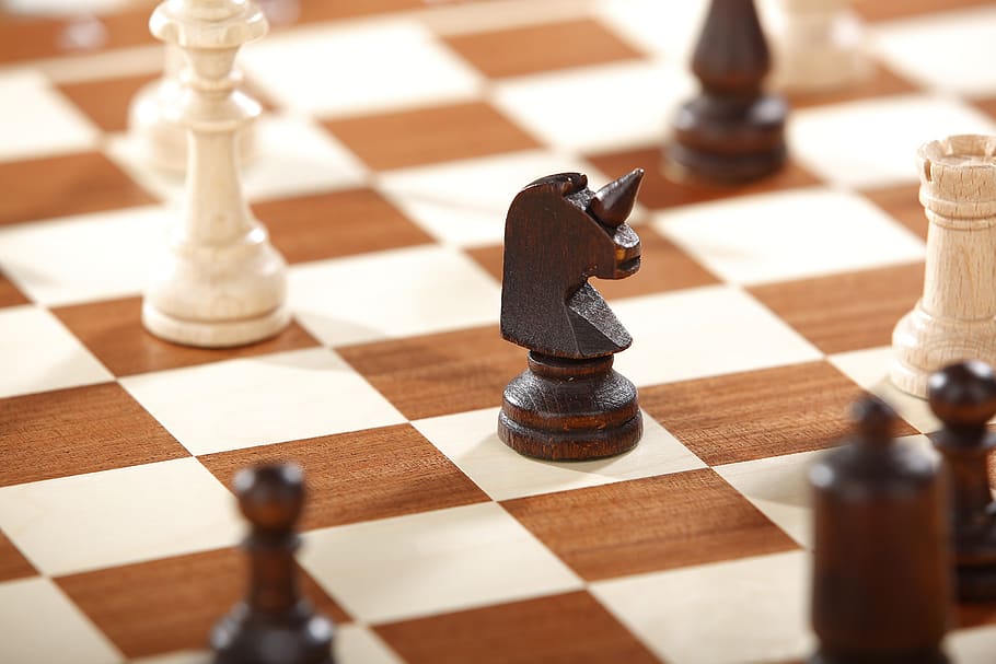 unicórnio, variante do xadrez, xadrez grande 10x10, xadrez de conto de fadas, xadrez, tabuleiro de xadrez, peças de xadrez, jogo de tabuleiro, jogo de xadrez, tabuleiro de jogo