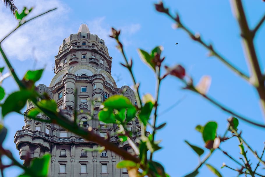 uruguay, montevideo, palace, low angle view, plant, building exterior, tree, sky, built structure, architecture