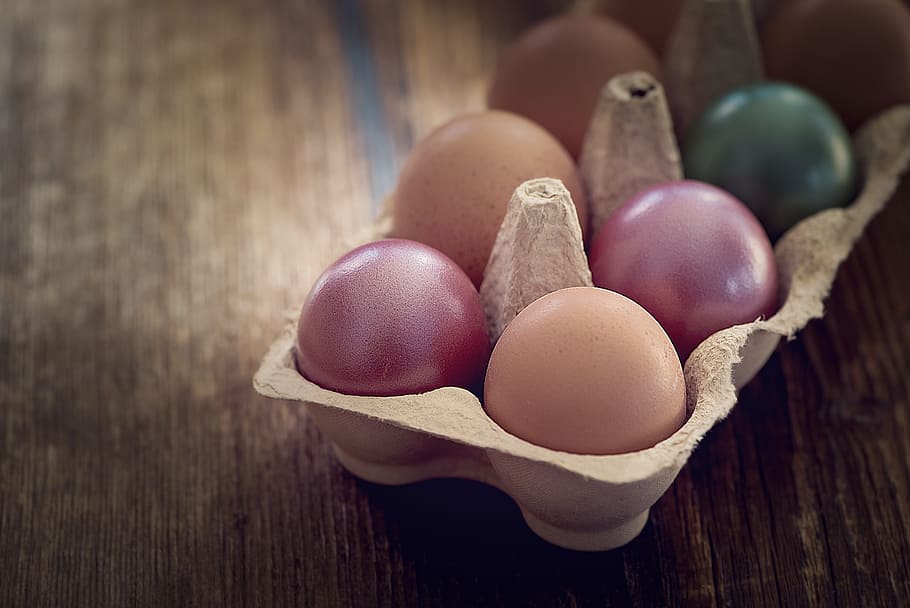 colorful, egg, cover, shelter, life, food, birth, wood - material, food and drink, freshness