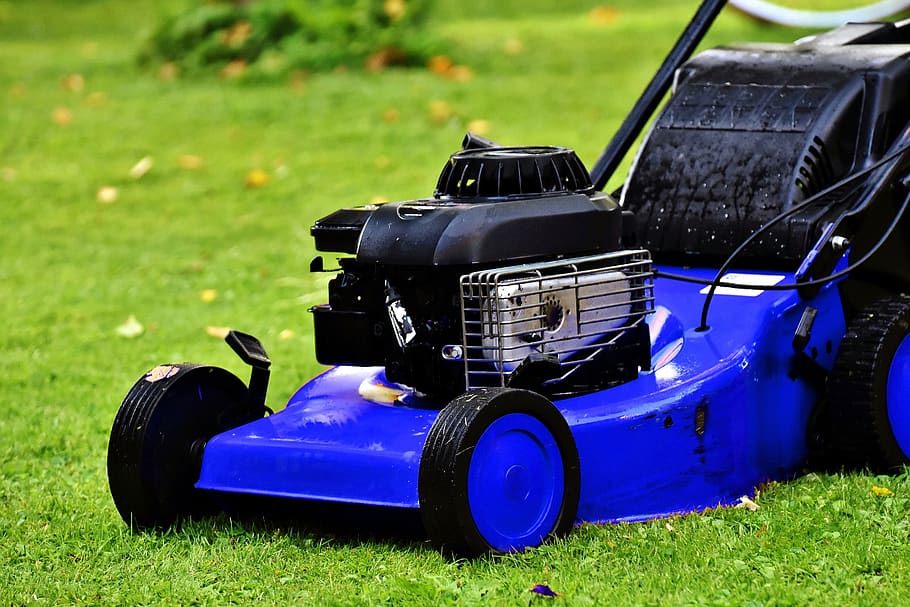 blue lawn mower, lawn mower, lawn mowing, landscaping, blue, summer, nature, grass, land, field
