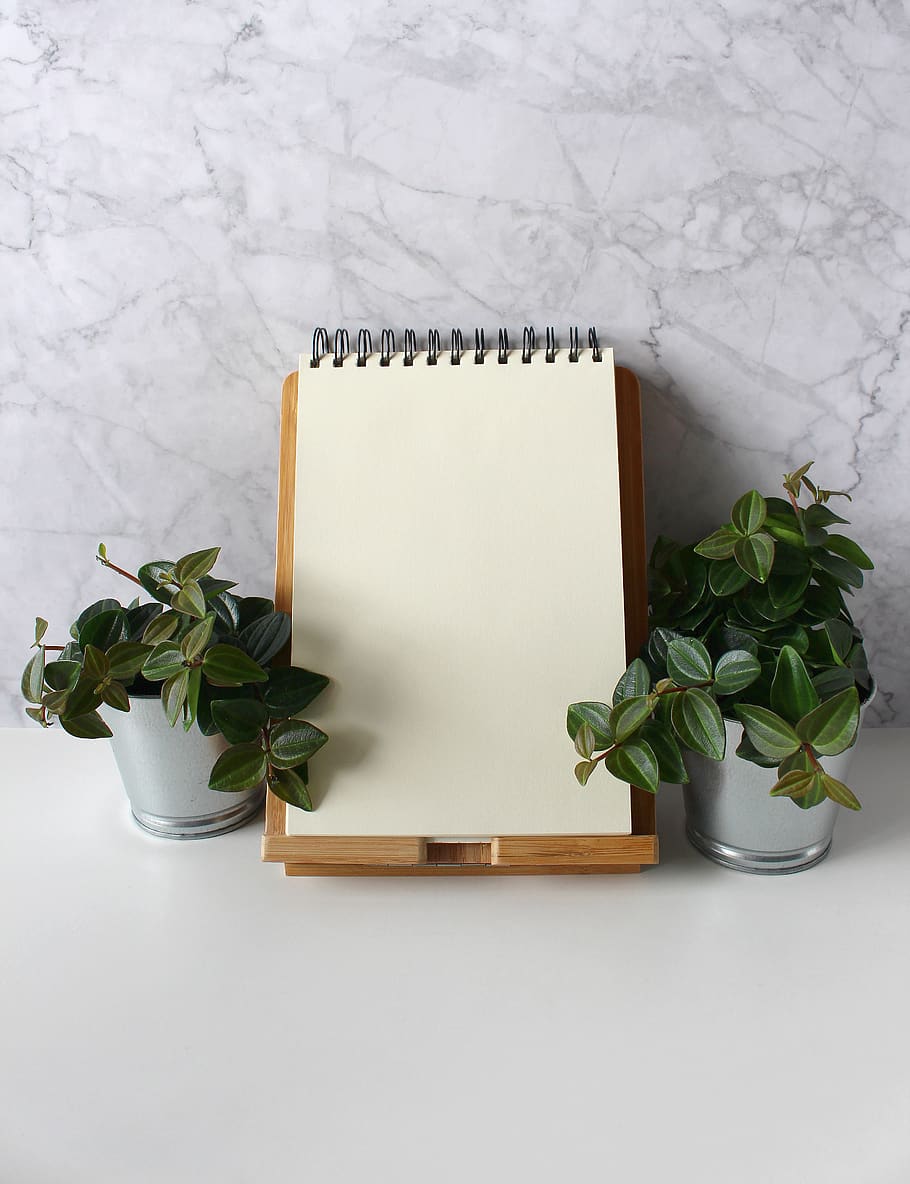 notizblok, note, message, diary, blog, deco, write, paper, decoration, plant