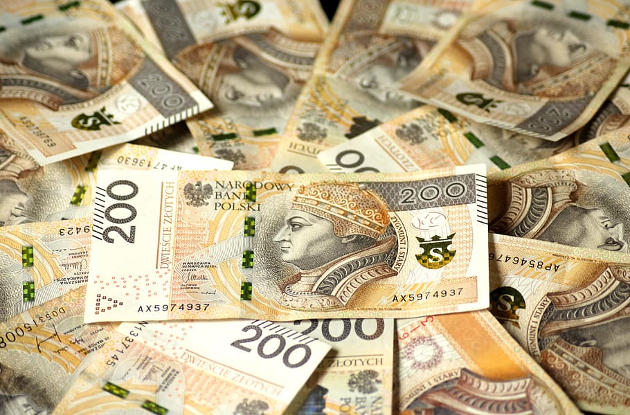 notas de euro, a moeda na polônia, finanças, dinheiro, poupança, pagar, banco, salvar, ganhar dinheiro, o dólar