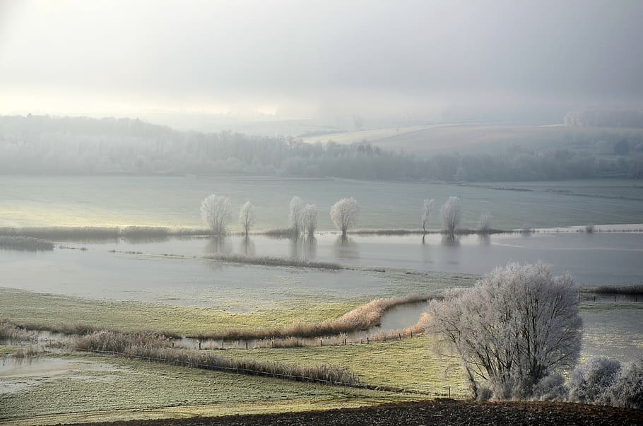 frost, winter, cold, frozen, nature, ice, season, flood, fog, river