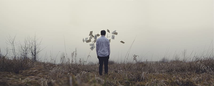 guy, man, papers, field, grass, fog, people, standing, rear view, full length