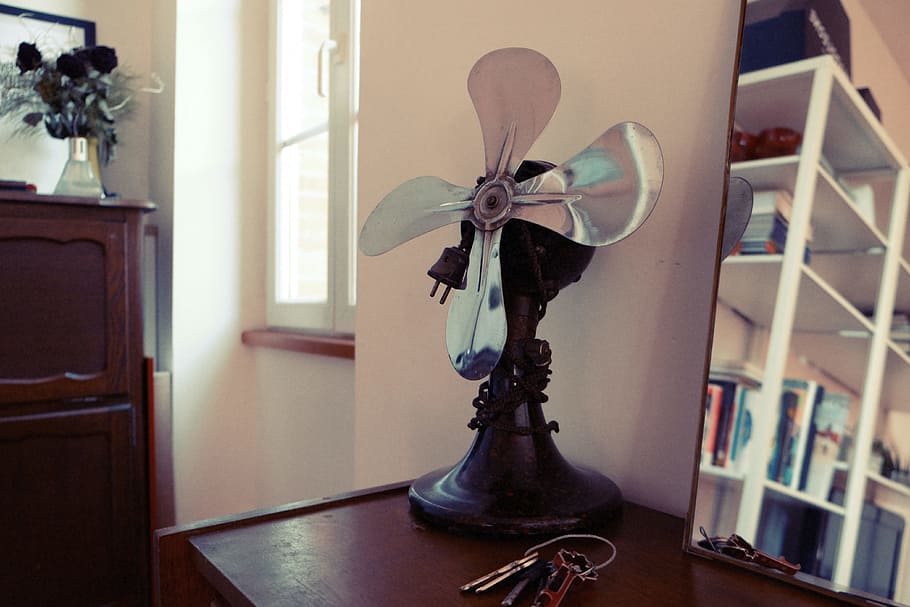 fan, keys, mirror, house, indoors, home interior, shelf, book, publication, vase