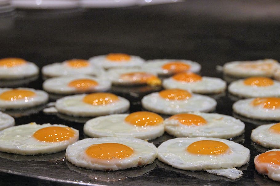 fried eggs, egg, egg yolk, eggs, fried egg, kitchen, pan, yolk, food, food and drink