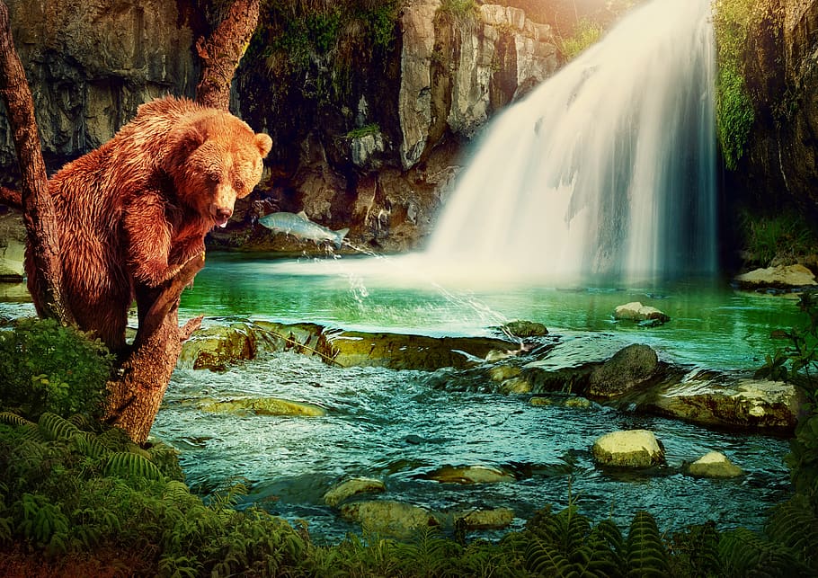 fantasy, brown bear, waterfall, river, fish, tree, rock, shrubs, image manipulation, feed