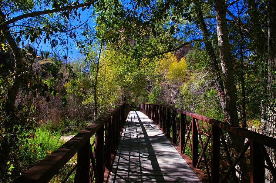 gila trail foot bridge, footbridge, bridge, trail, nature, landscape, architecture, walkway, wood, river