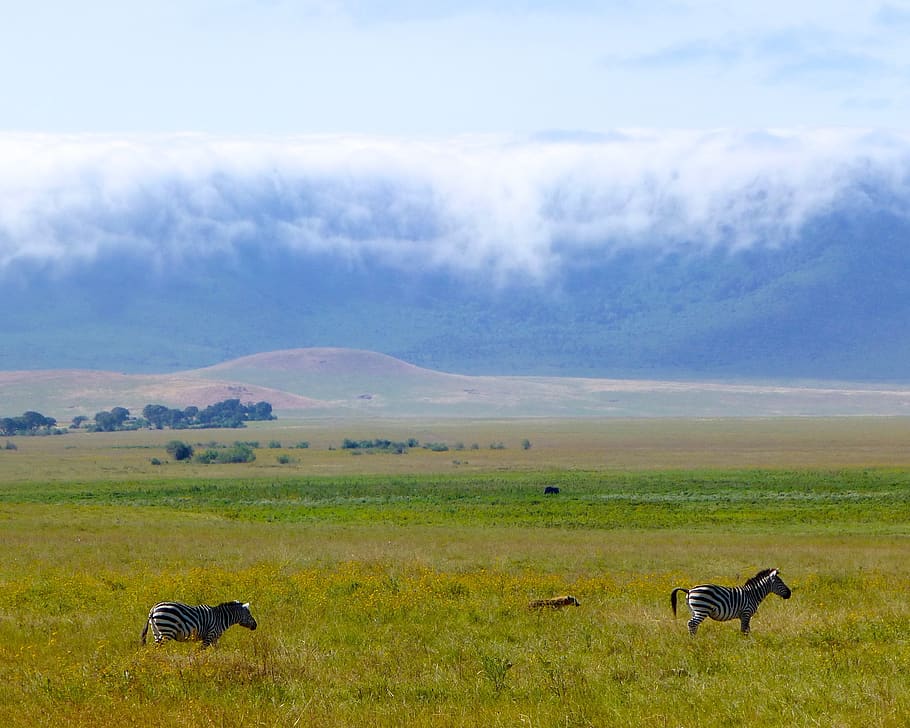 africa, volcano, crater, view, sky, places of interest, outlook, landscape, ngorongoro, collapse of the crater