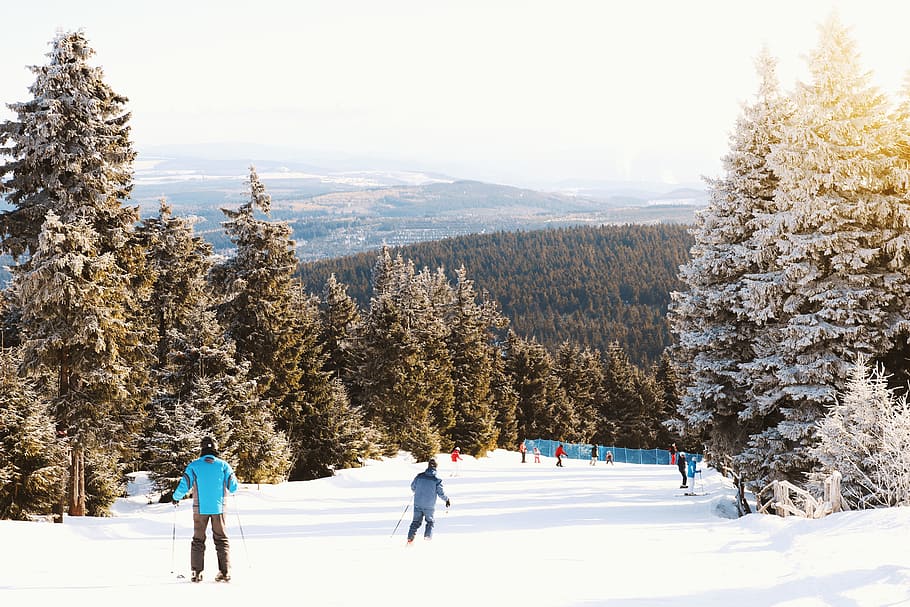 gente esquiar, clásico, cuesta abajo, pista, invierno, nieve, temperatura fría, árbol, planta, deporte de invierno