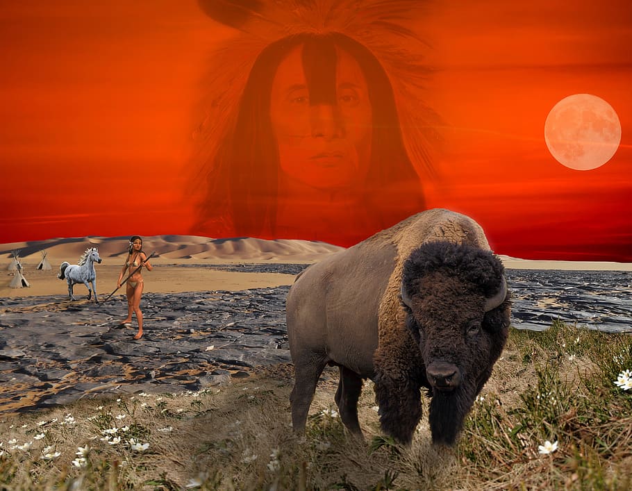 bison, warrior, mountain, horse, grass, rocks, sunset, fantasy, moon, woman