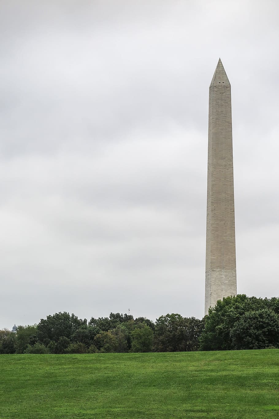 washinton dc mall view, washinton monument, rising, behind, grass hill, hill., america, american, architectural, architecture