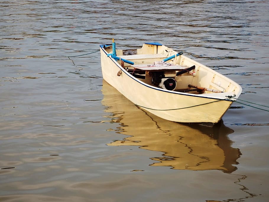 pequeno barco a remo, água, barco, remo, ninguém, reflexão, fundo, mar, oceano, pesca