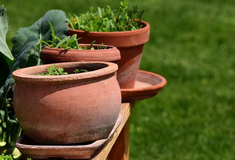 garden, plant pots, herbs, terracotta, decorative, herb garden, summer, cultivation, breeding, planters