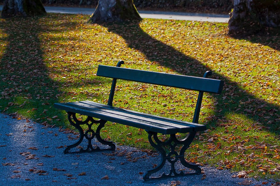 park, park bench, bank, nature, rest, recovery, autumn, avenue, tree, leaves