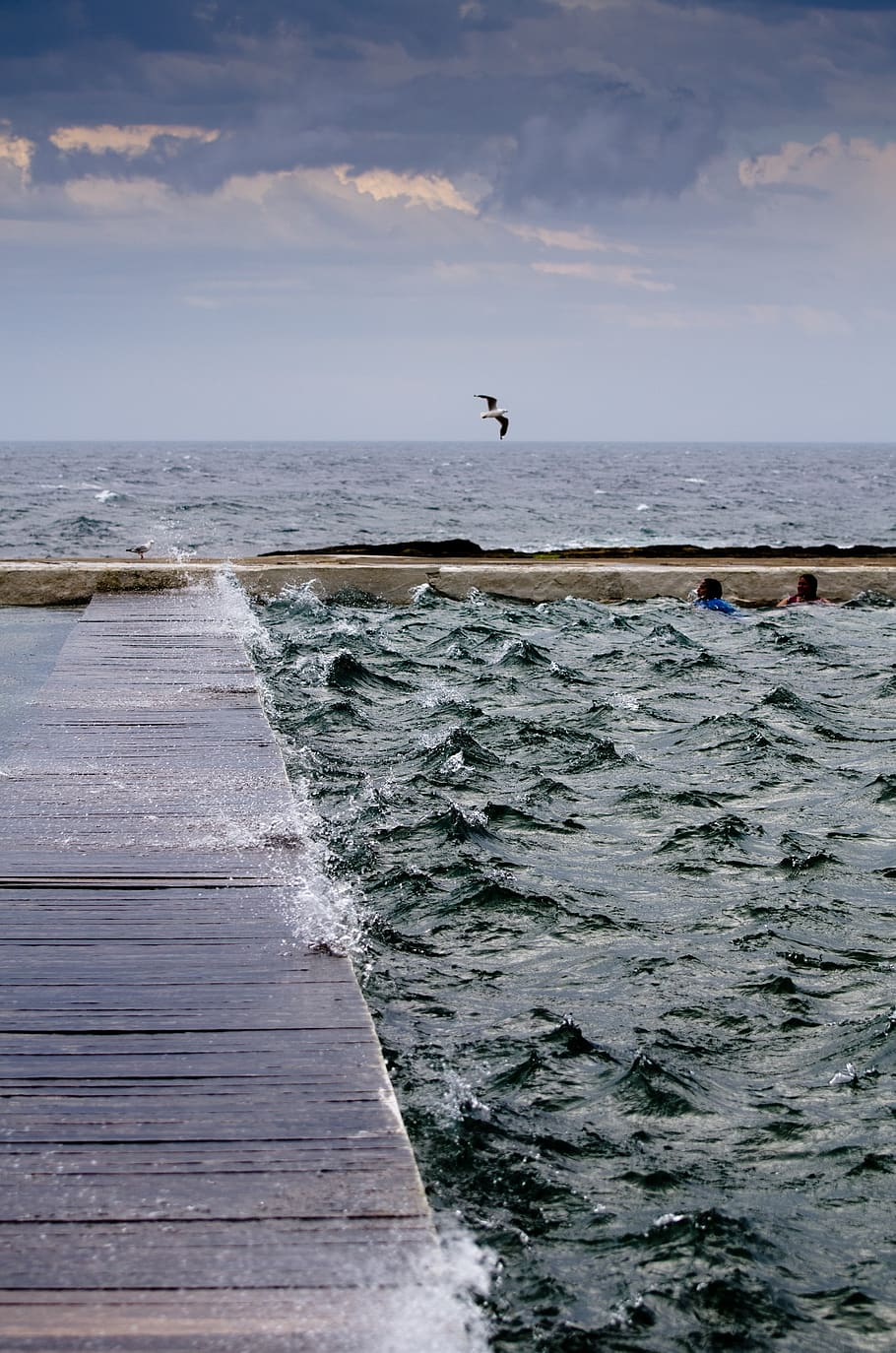 platform, baths, choppy, storm seagull, sky, sea, ocean, water, horizon over water, horizon
