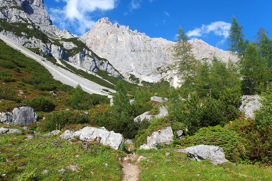 Горно альпийский. Высокогорья горы Чехова. Green Alps. Суутек фото.