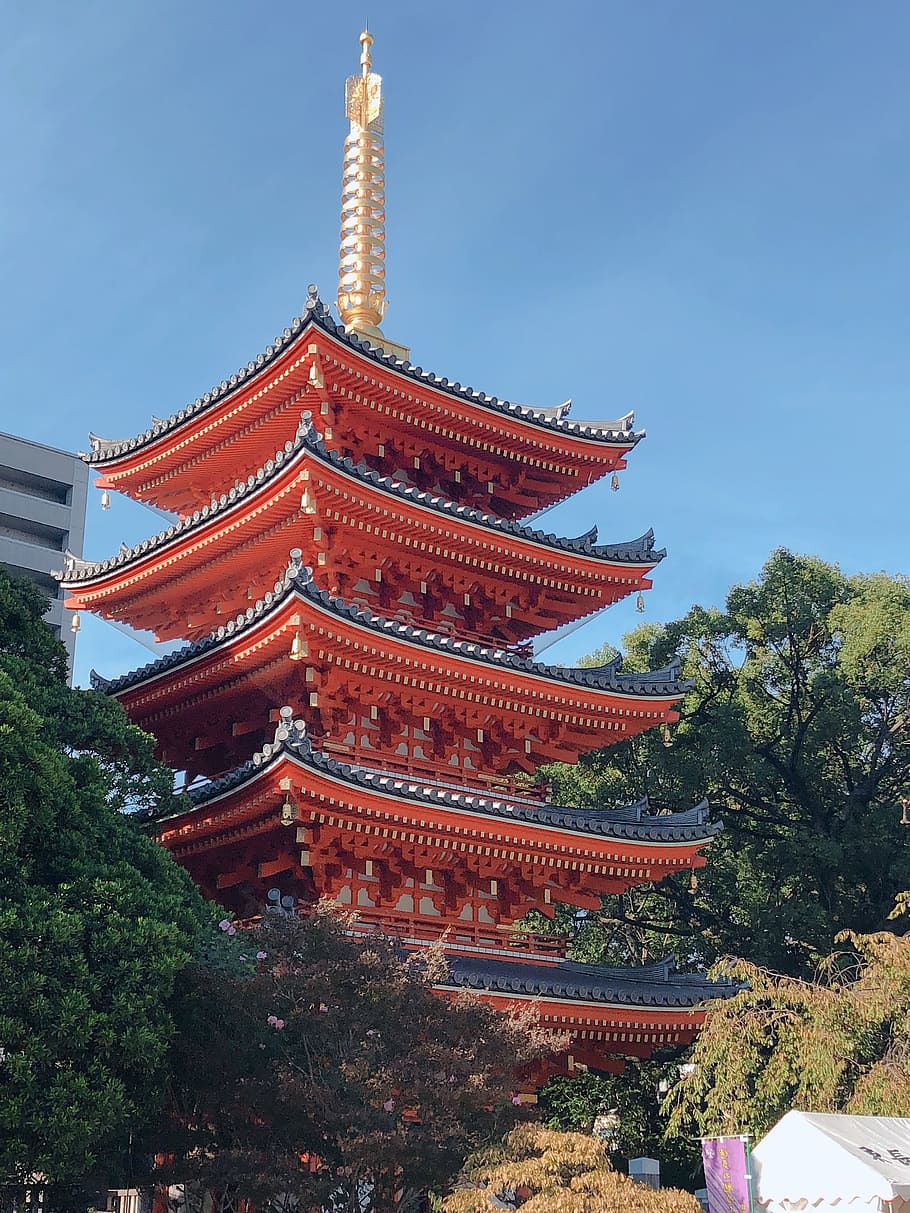 japan, fukuoka, total 岡, the company, tochoji, temple, section, top, culture, architecture