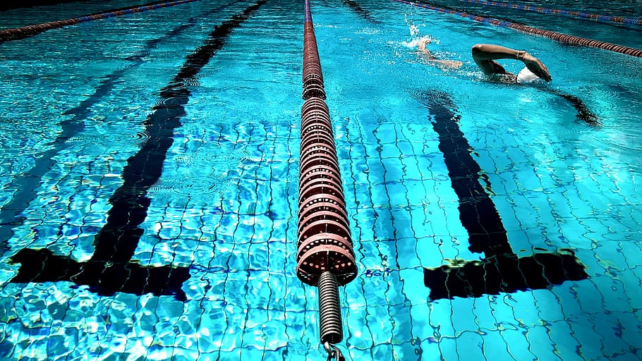 swimming, pool, water, blue, athlete, fitness, exercise, swimming pool, swimming lane marker, nature