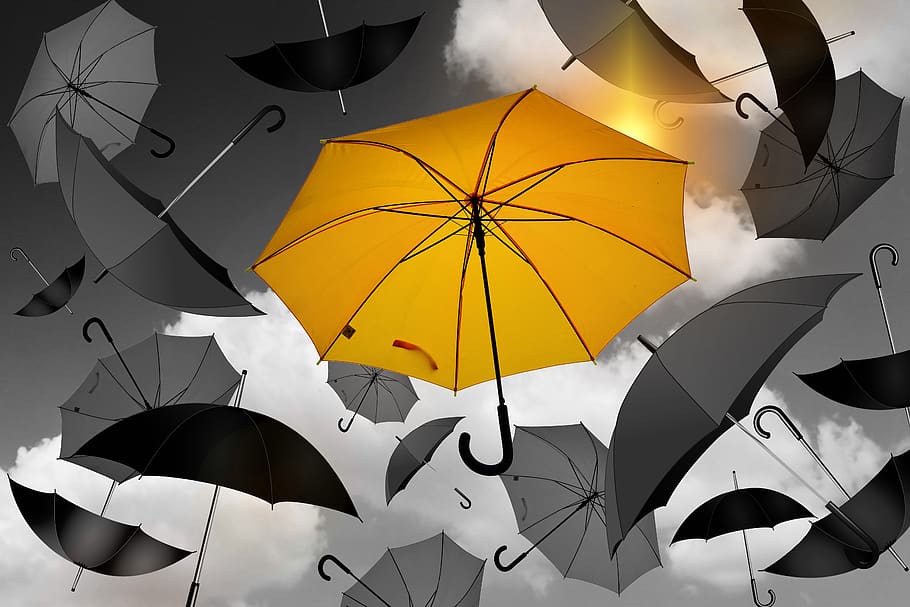 guarda-chuva, amarelo, preto, branco, seleção, especialmente, característica especial, única, fé, singularidade