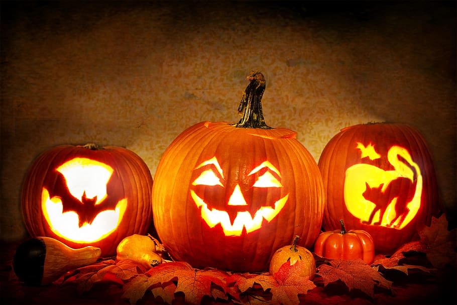 jack-o-lanterns, lit, pumpkins, carved pumpkins, halloween, orange, scary, spooky, october, holiday