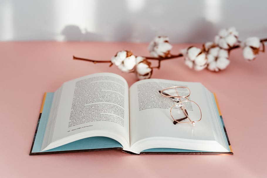 aberto, livro, rosa, fundo, leitura, óculos, aprendizagem, fundo rosa, estudo, feminino
