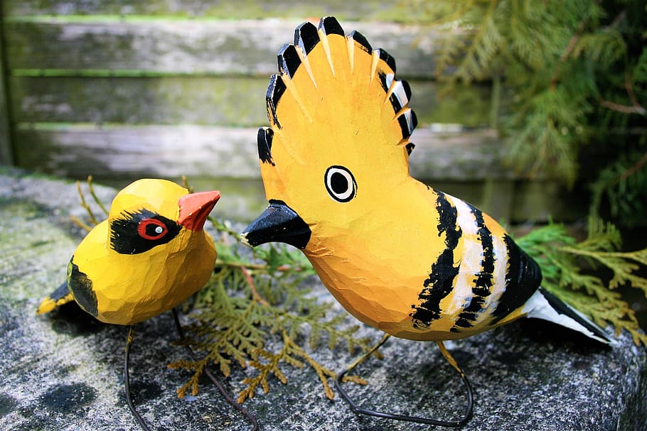 birds, para, wooden, total, dudek, nature, at the court of, color, wild, beak