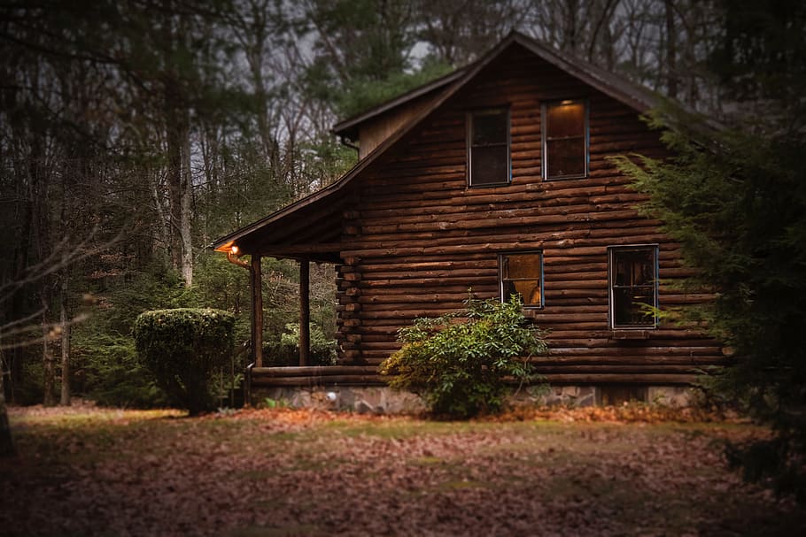 log, cabin, forest, wood, rustic, nature, house, home, relax, vacation