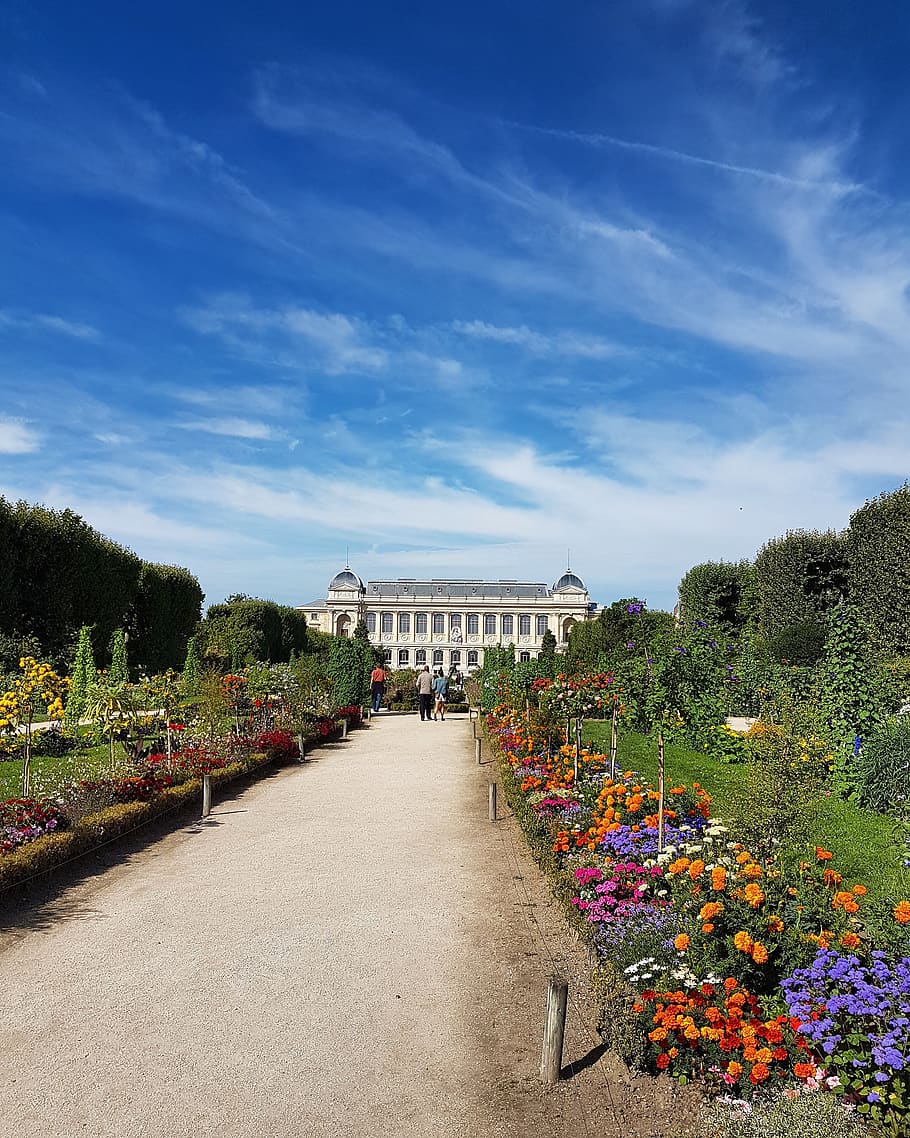 París, museo de historia natural, flores, jardín, jardin des plantes, museo, recuerdos, cielo azul, paisaje, imagen