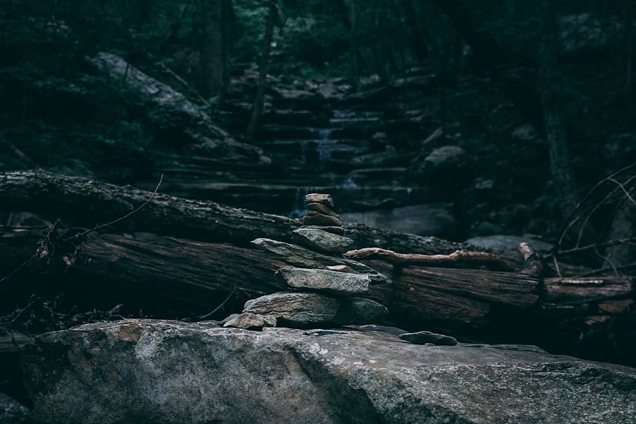 rocks, nature, walking trail, stacked rocks, trees, forest, woods, stones, outdoors, camping