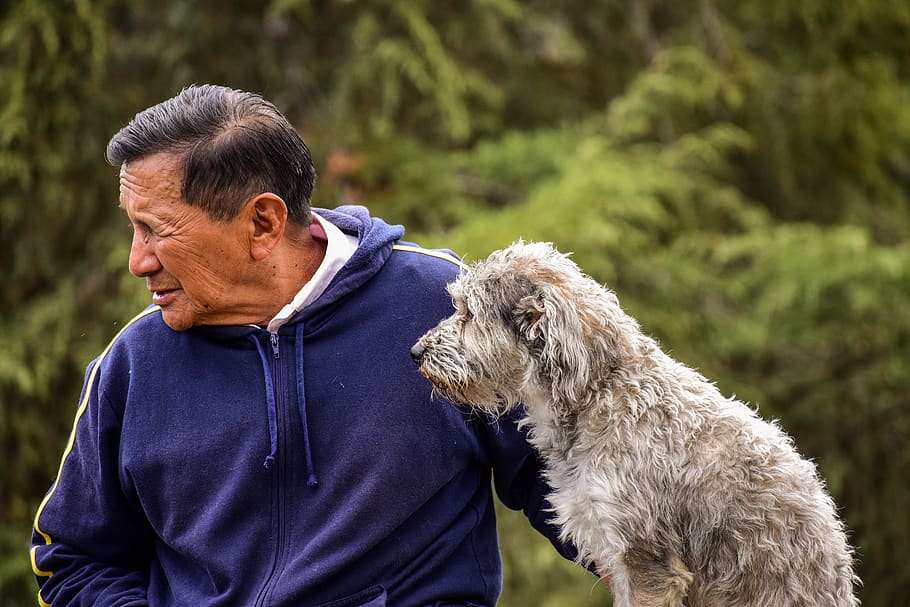 older, dog, old man with his dog, pet with its master, one animal, mammal, pets, domestic animals, domestic, men