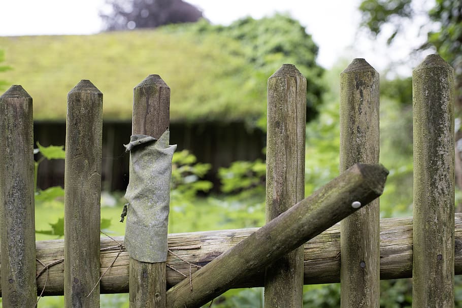 fence, paling, garden fence, wood fence, garden, limit, demarcation, weathered, protection, battens