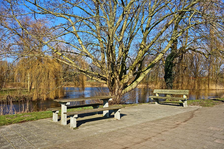 resting place, picnic spot, wooden table, wooden bench, resting, picnic, bench, table, water, pond