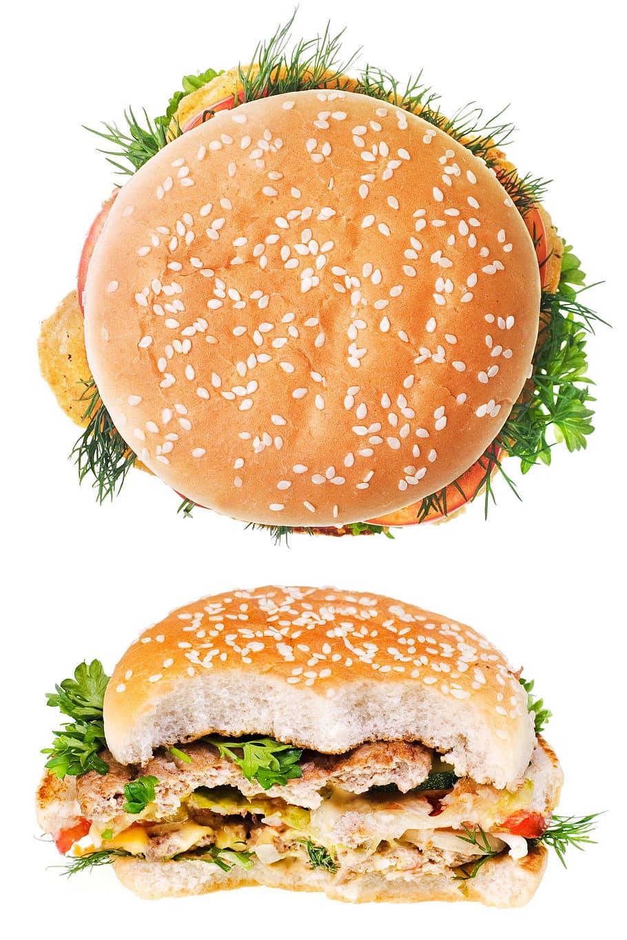 Sandwich, bite, hamburger, burger, food, fast, salad, diet, grilled, meal