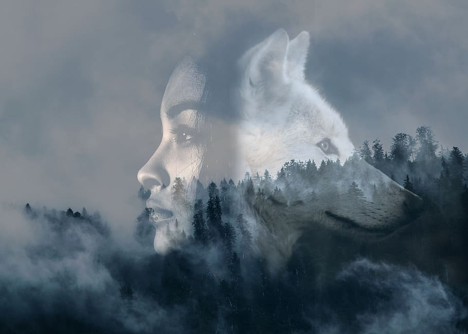 girl, wolf, double exposure, forest, steamy, fog, woman, cloud - sky, sky, nature