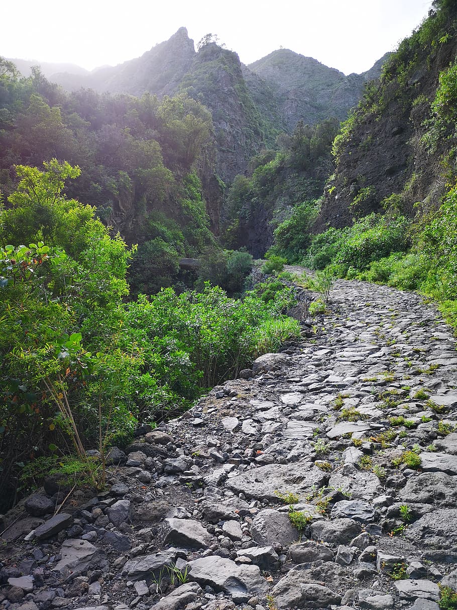 rocky, path, road, landscape, nature, rock, mountains, hiking, trees, scenic