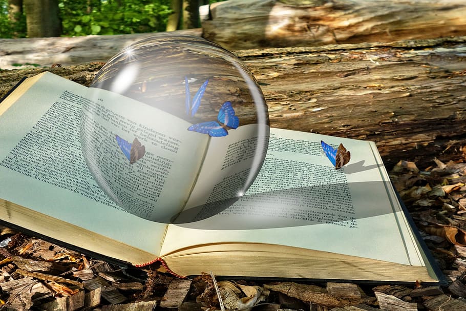 crystal, crystal ball, book, butterflies, beetle, bug, magic, fantasy, fairytale, forest