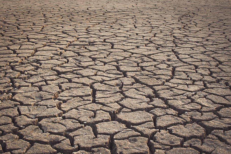 drought, dry, dehydrated, desert, nature, landscape, sand, ground, earth, texture