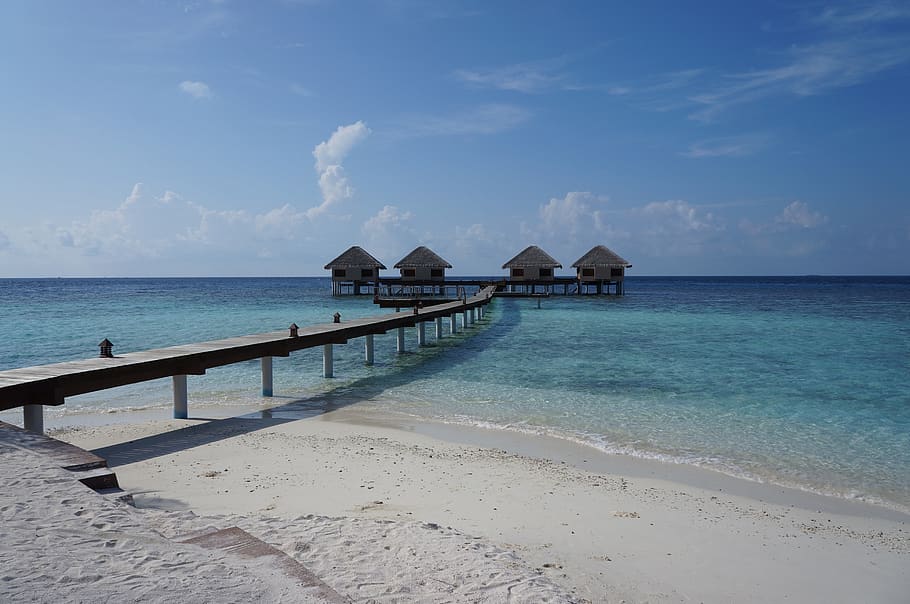 Maldivas, mar, agua, verão, praia, viagem, areia, natureza, férias, céu