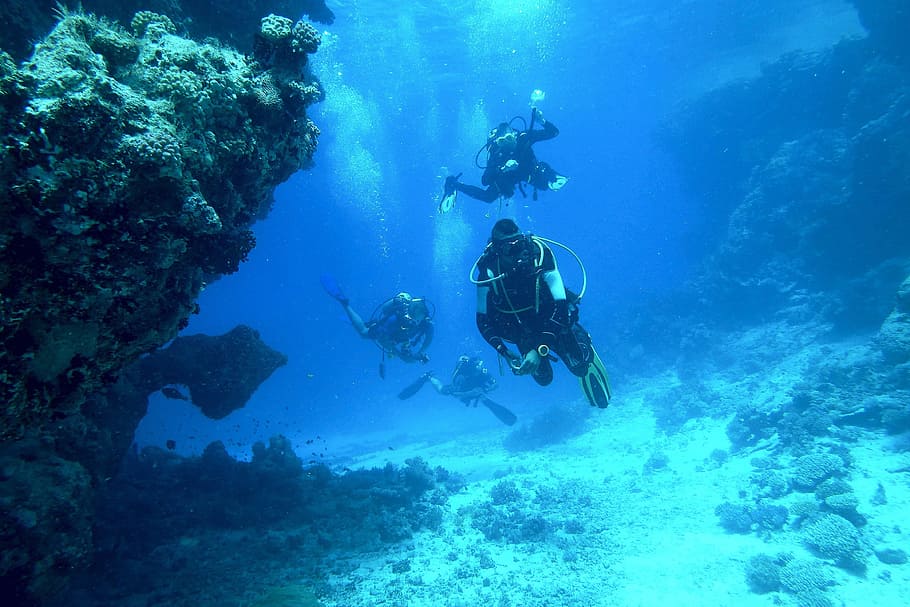 underwater diving, people, diver, divers, diving, ocean, sea, underwater, scuba diving, aquatic sport
