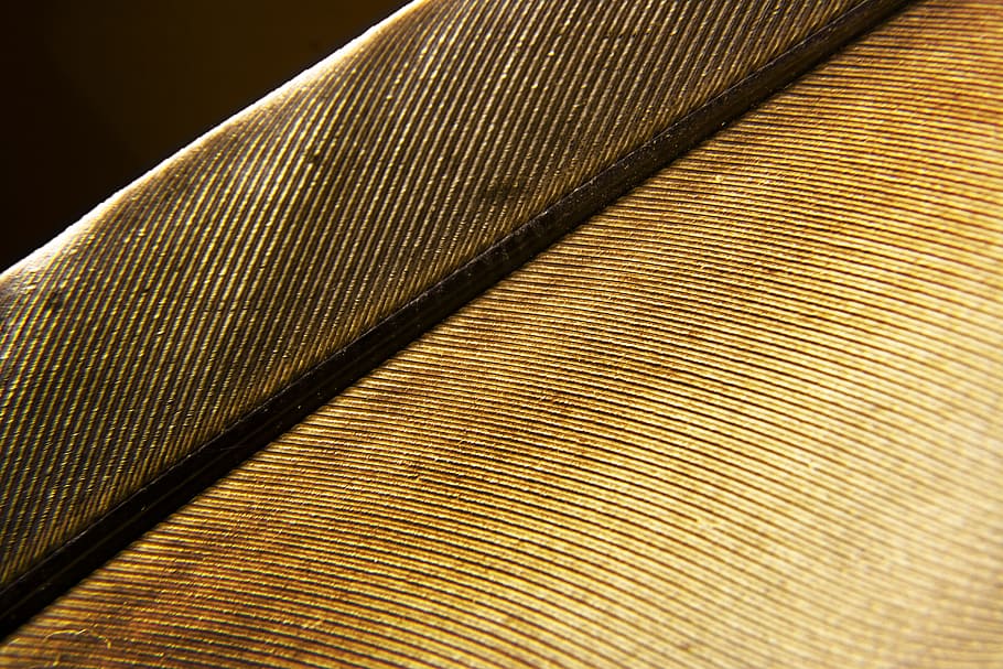 feather, pattern, closeup, fabric, texture, background, full frame, backgrounds, textured, close-up